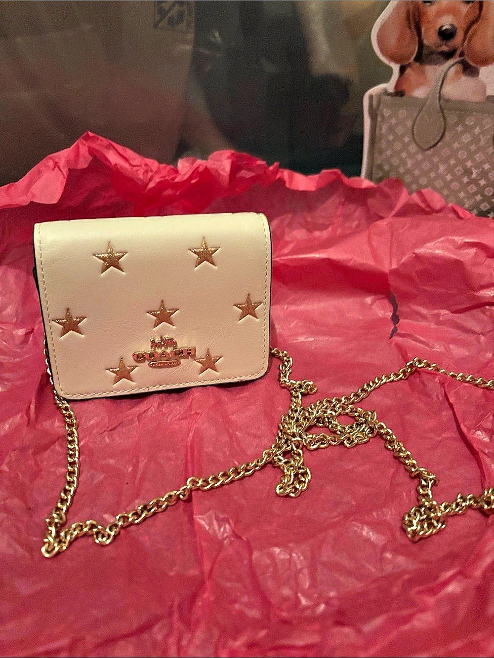Coach Mini Wallet On A Chain With Star Print CW963 White & Gold